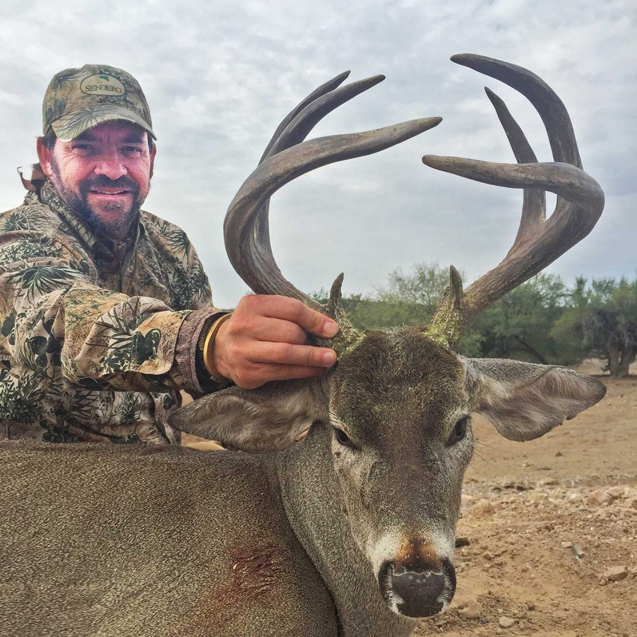 Trophy Sonoran Mule Deer | Mexico Outfitters Unlimited